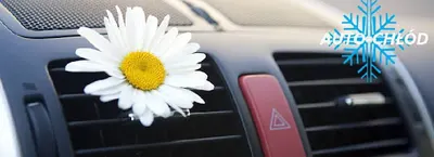 Auto-Chłód Tadeusz Foltyn. SERWIS klimatyzacji samochodowej Poznań. Nabijanie, montaż klimatyzacji